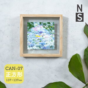 tHgt[ ؐ ` / CAN-07 i` / KXW120xH120mm 2WAY Ǌ| u^ ʐ^ KX R[W CeA  v[g Mtg V }Olbg