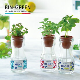 栽培キット 【 BIN Green 】全3種　　　　　［ 栽培セット ハーブ ミント バジル ワイルドストロベリー 瓶 コンパクト ミニ 家庭菜園 野菜 植物 栽培 聖新陶芸 ］