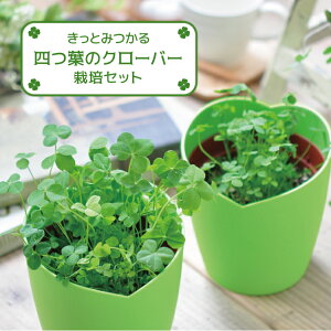 種 陶芸 キット Diy 工具の人気商品 通販 価格比較 価格 Com