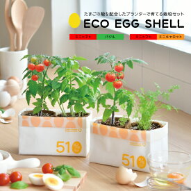 野菜 栽培キット 【 ECO Egg Shell 51% 】全2種　　　　　［ エコ エッグシェル 栽培セット ミニトマト バジル ミニキャロット 家庭菜園 野菜 植物 栽培 聖新陶芸 ］