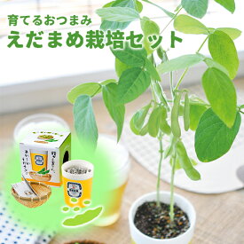 楽天市場 ベランダ菜園 セットの通販