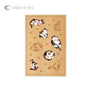 y11305%OFFN[|z ؐ / N[V  S2 / L ˂ lR 180×120×15mm B6 ֕ ؐ [U[H _  ؒ { ؐ\ ό` l  cru-cial a 