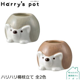 デコレ Harry's pot　ハリハリ楊枝立て　全2色