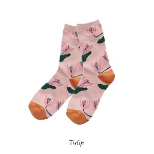 y9/155%OFFN[|z~L C / \bNX Plants S3 / Matsuo Miyuki Socks Plants }cI~L fB[XC t[TCY N[\bNX ԕ A ifVR `[bv TLC 