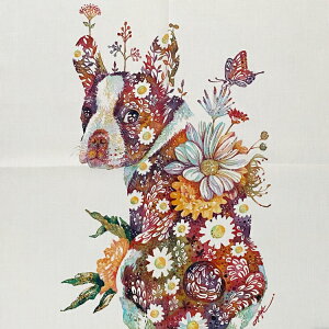 ^P_qL nJ` / bpbp × HIROKI TAKEDA vgnJ` S6 / { 50cm×50cm 唻 Te o_inJ` fB[X jZbNX }`NX XJ[t ANZg ʉ Ԃ