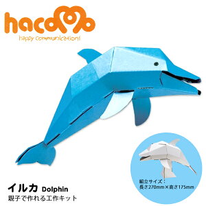 _{[HLbg CJ | nR hacomo [ i{[ _{[Lbg H   }H 킢 C 邩 qǂ ǂ ]