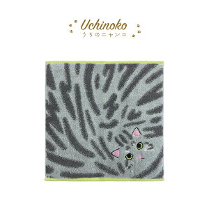 y11155OFFN[|znh^I | ̃jR ѕ݃nJ` S6 | { ^I 25×25cm hイ L ˂ ѕ݂\ GĊy  100 v[g