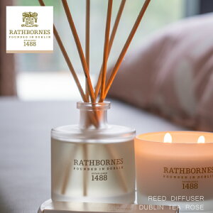 [tOX / X{[Y [h fBt[U[ _ueB[[Y E[h p` / ACh 200ml 16T  i`GbZVIC Mtg v[g 