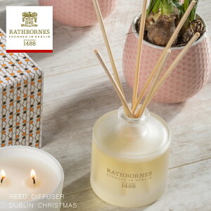 yubNtCf[10%OFFz[tOX / X{[Y [h fBt[U[ _u NX}X i / ACh 200ml 16T  i`GbZVIC