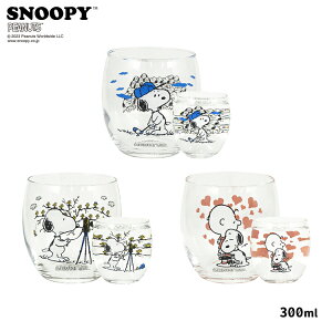 KXRbv Xk[s[ VA^[OX 3 OX ^u[ KX Rbv 300ml SNOOPY PEANUTS s[ibc 킢 lC v[g v`Mtg Mtg 蕨    H L