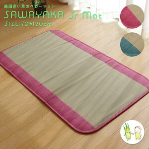 yYz }bgX@Q}bg xr[}bg }bg  O J[ybg ނւ y70×120cmz SU u₩ N[  ėp  Vv sN u[₩RJ