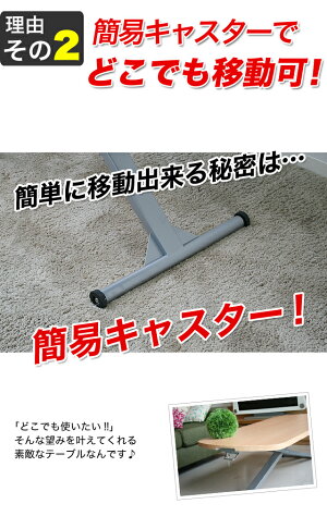 エバーリフティングテーブル(NA)(5才)