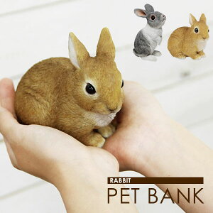 yAj}^̒zoN u  CeAG WG  v[g Mtg G ybg a jy̓z PET BANK RABBIT  ybgoNi