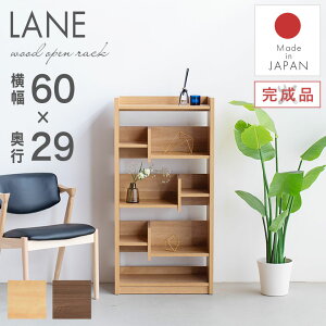 VFt bN I I[vVFt Ԏd؂ fBXvC ؐ X 60  k i` Vv _ {I I[vbN [I i rO Lb` _CjO