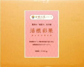 驚異の根張りを実現する液体肥料・発根剤活根彩果(カッコンサイカ)【10kg】