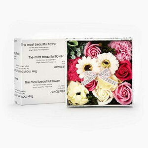 BOX AW Ԃ̃J^`̓ vg{bNX \[vt[ oXtOX