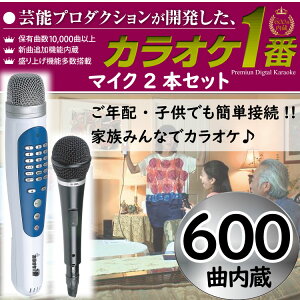 曲 内蔵 カラオケ マイク 2 本 セット