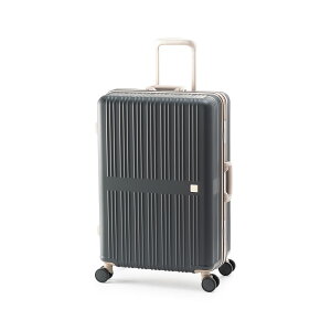 AWAQ[WX[cP[X h[Cg Ali A.L.I AWAQ[W X[cP[X Dream Light ALI-099-24 X[c P[X L[obO L[ obO AWAEQ[W AWA Q[W ALIX