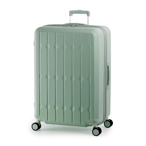 AWAQ[WX[cP[X hNz_[t 99L Ali A.L.I AWAQ[W X[cP[X X[c P[X ALI-6030SD-28W L[P[X L[obO L[ obO AWAEQ[W A