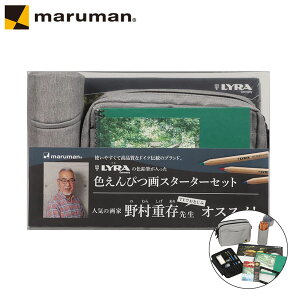 yz}} BtA[ FMX^[^[ZbgO[ SVCP36-11 CXg  G Mtg v[gy񂹁z