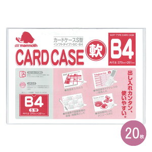 y[֕sz}X \tgP[Xy20z@B4TCYSC-B4