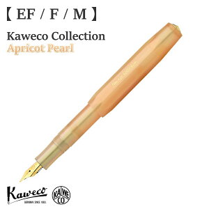 yzKAWECO-110002JFR JFRRNV AvRbgp[ Kaweco EF F M v[g Mtg rWlX AEj a ސEj j   i  ̓ ̓ 