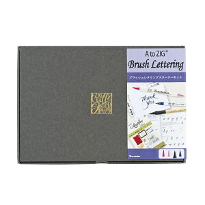 �y���[���֑Ή��\�zECF101-006���| A to ZIG�u���b�V�����^�����O�X�^�[�^�[�L�b�g���^�����O �M���� �A���t�@�x�b�g ���S�� ���K �ȒP�y�����񂹁z