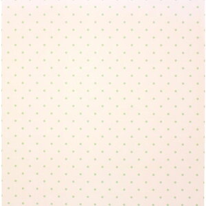 y[֕szMTCAFJH }XLOe[v mt casa fleece for Wall}Xe ǎ DIY t[X CNy񂹁z