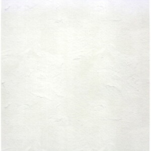 y[֕szMTCAFJH }XLOe[v mt casa fleece for Wall}Xe ǎ DIY t[X CNy񂹁z