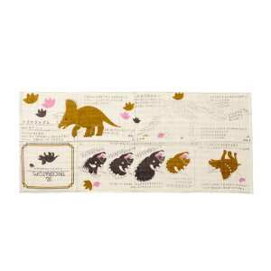 【メール便対応】【ラッピング対象商品】K60-138キララ ものしり 絵本タオルギフト セット 赤ちゃん お祝い 出産 記念 かわいい 女の子 男の子 タオル 恐竜 教育 成長