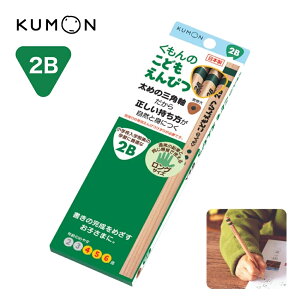 y[֑Ή\zSE-43o ̂ǂ҂ 2B ǂ҂ Op M 񂩂 v S S g₷ w  ۈ牀 ct N N