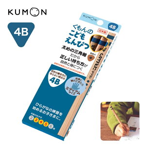 y[֑Ή\z SE-72o ̂ǂ҂ 4B ǂ҂ Op M 񂩂 v S S g₷ w  ۈ牀 ct N N