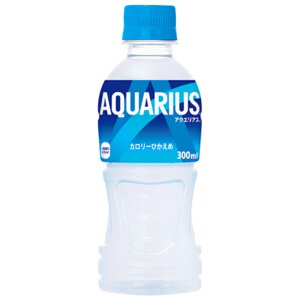y[֑Ήsz53587RJER[{g[YWp ANGAX 300ml×24{ybg{g MǑ΍ X|[chN ΍ ⋋ ^ X|[c O   d ₽