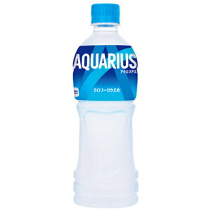 y[֑Ήsz41199RJER[{g[YWp ANGAX 500ml×24{ybg{g MǑ΍ X|[chN ΍ ⋋ ^ X|[c O   d ₽