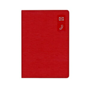 y[֑ΉzG6937_CS[ 傫AhXbhAhX {\L Ǘ