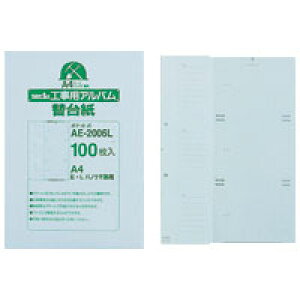 y[֕szAE-2006LZLZC HpAo [p֑䎆 100