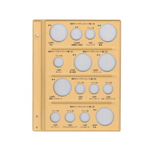 【メール便対応/5枚まで】テージー 平成コインアルバム スペア台紙 平成記念コイン用 C-38S1-G東京オリ・パラリンピック 第一次/ニ次発行分