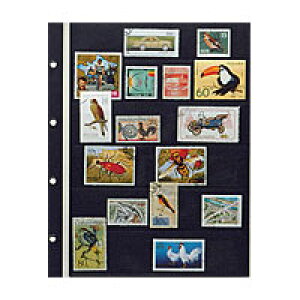 y[֑Ή/3܂Łze[W[ RNVAoXyA|Pbg SB-306S