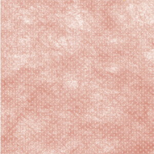 y[֕sz49-9003TTK sDz J[ T[y񂹁z