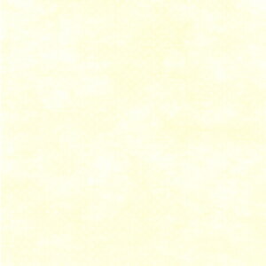 y[֕sz49-9007TTK sDz J[ y񂹁z