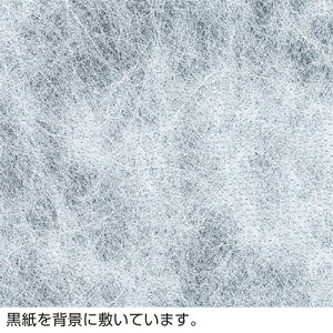 y[֕sz49-9008TTK sDz J[ y񂹁z