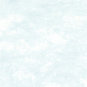 y[֕sz49-9010TTK sDz J[ y񂹁z