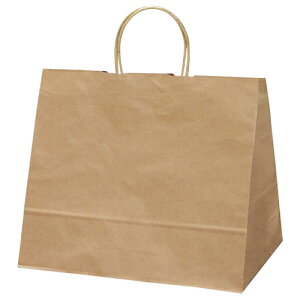 y[֕sz50-6001TTK 񂰑 N 320×200×275 10Py񂹁z