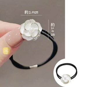 JA  ^ wAS  JWA wAANZT[ lq I[V[Y K[ ܂Ƃߔ |j[e[ \ w Ǝ p[eB[ 