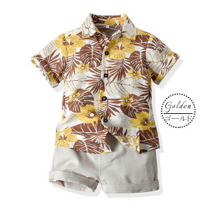 j̎q X[c An JWA  ZbgAbv xr[  ㉺Zbg AnVc V[gpc |Pbgt  nC q Ђ xr[X[c LbY r[`EFA 