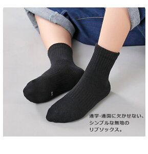 Vio q C tH[} \bNX V[g\bNX C j̎q ̎q AN\bNX 킢 xr[ C WjA  ۈ牀 ct ʉ ʊw C tďH~ X|[