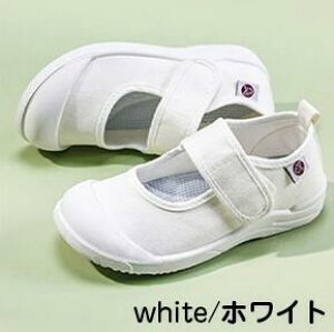 C LbY 㗚 LbY V[Y XN[ V[Yj̎q ̎q qC wZ q ʊw ct ۈ牀 ΂  p[V[Y bV ɂ R hL  