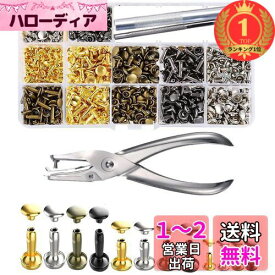 【楽天ランキング1位獲得】TAORAYO レザークラフト カシメセット カシメ かしめ カシメ金具 セットカシメ打ち具セット レザークラフト用打ち具キット 3サイズ 4種色（ゴールド・シルバー