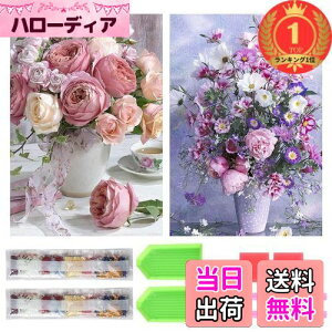 yzyyVLO1ʊlzTRX _ChA[g Lbg _Ch̊G 2Zbg ꂢ Sʓ\t _ChA[g h S l̎q |Lbg 