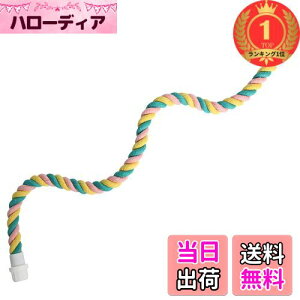 yzyyVLO1ʊlzWXVOVXW ~܂؁ACR ~܂؁AIE NC~O Rbg [v CR Ap~܂ IE [v p[` tȒP (M)